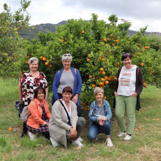 Mallorca: Valle de los Naranjos y Valldemossa Visita Guiada + Traslados 4
