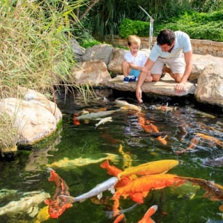 Palma Aquarium: Entrada gratuita + Cine Aquadome 3D opcional 2