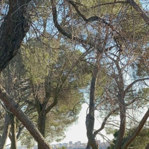 Madrid: Pilates por la mañana o al atardecer en el Templo de Debod