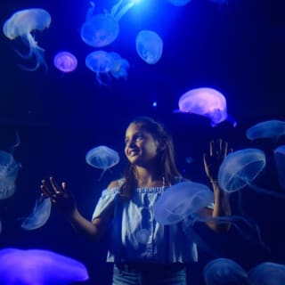 Palma Aquarium: Entrada gratuita + Cine Aquadome 3D opcional 58