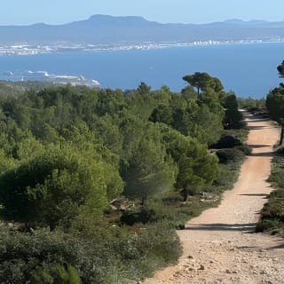 Sierra de Tramuntana hike with small picnic 10